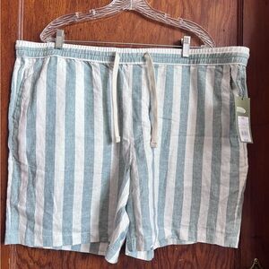 Goodfellow & Co Blue and White Striped Women Shorts
